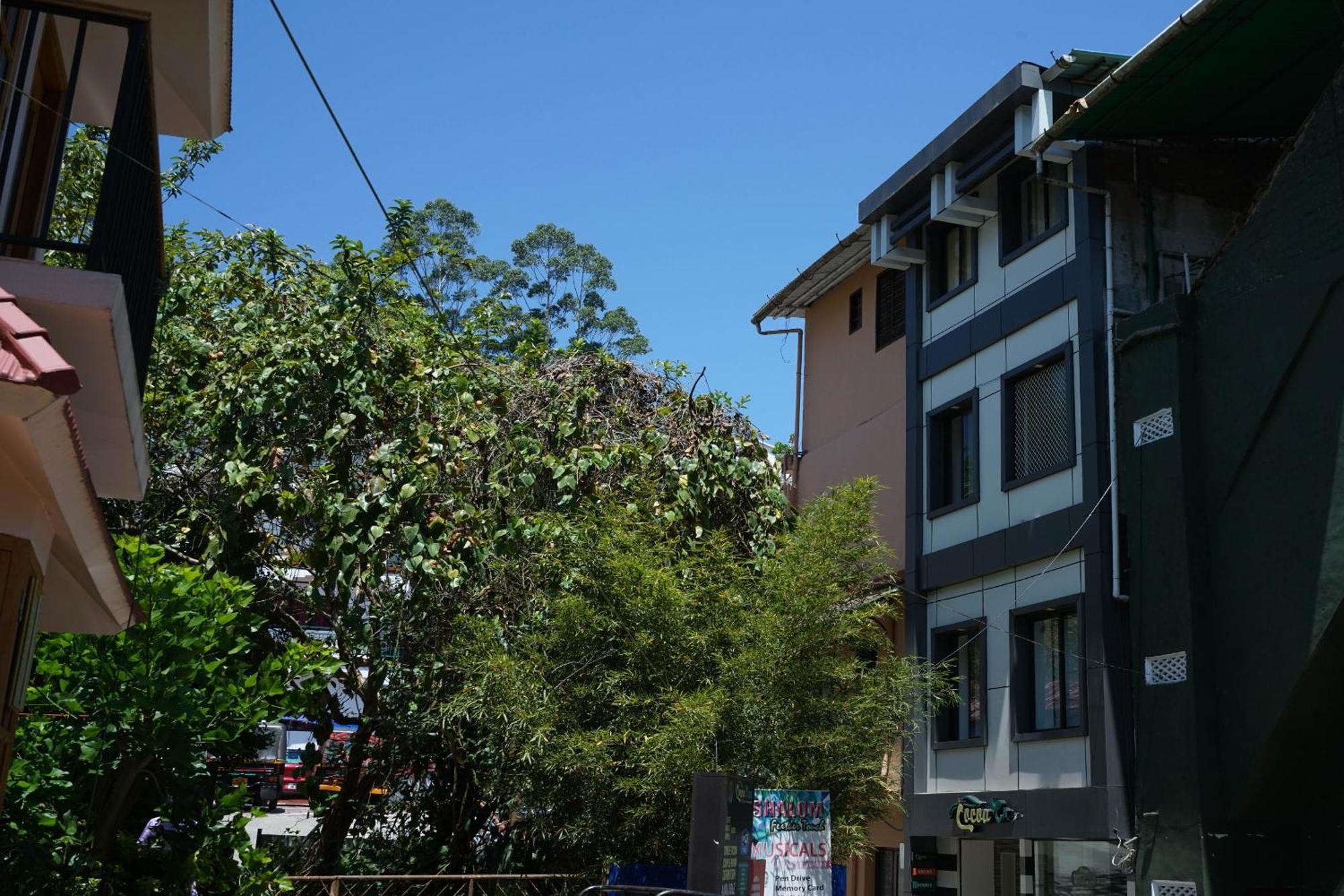 Oyo Hotel Cocoa Tree Munnar Buitenkant foto